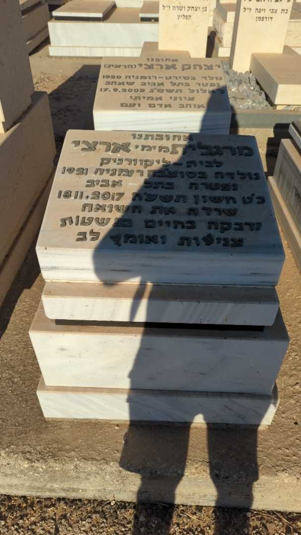 קברו של יצחק "הרציג" ארצי