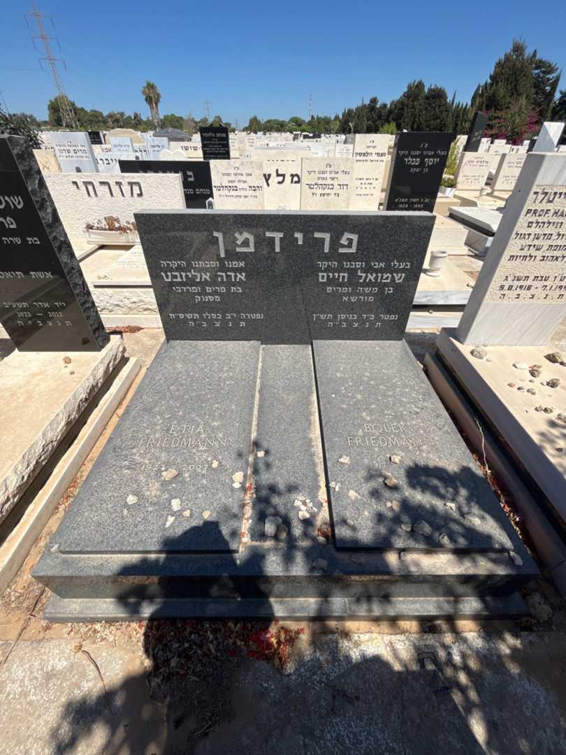 קברו של אדה עליזבט פרידמן. תמונה 2