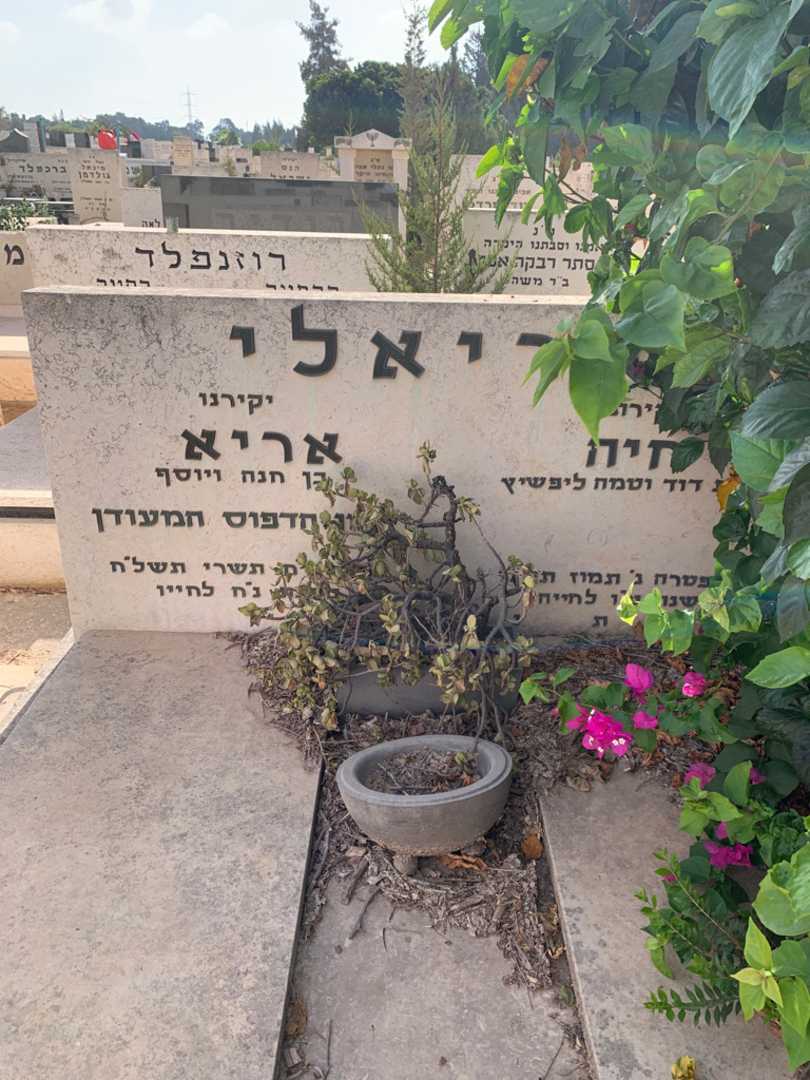 קברו של בתיה אריאלי. תמונה 1