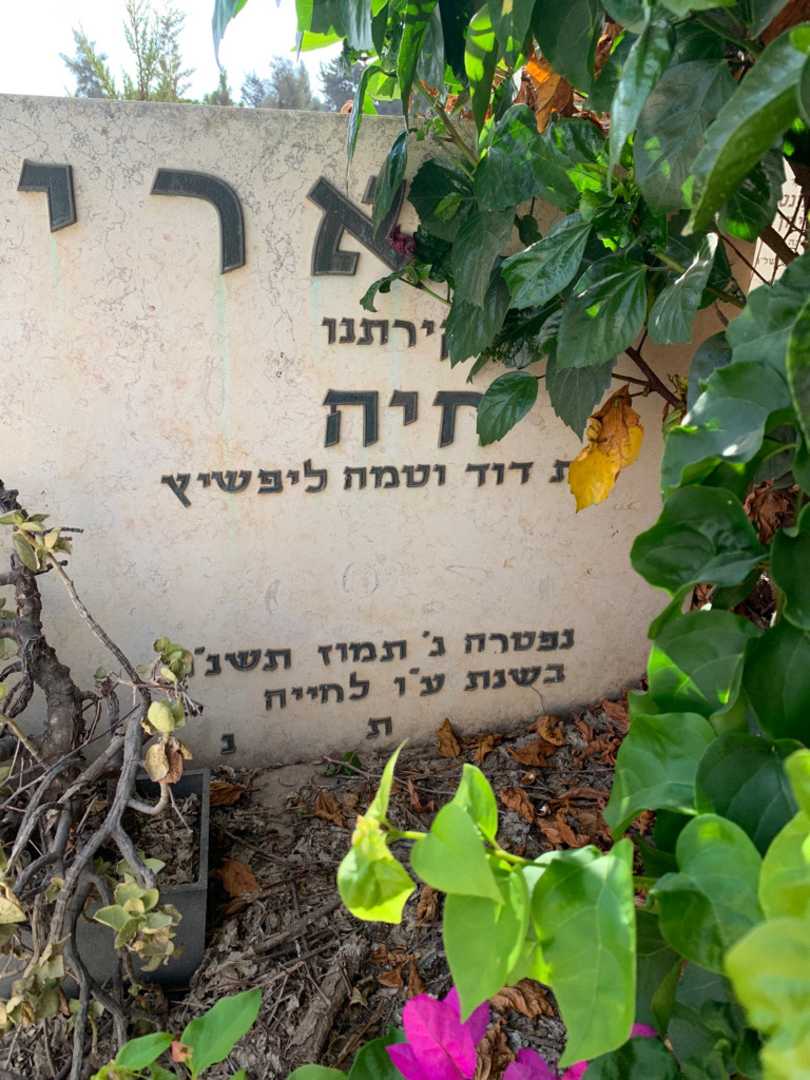 קברו של בתיה אריאלי. תמונה 2