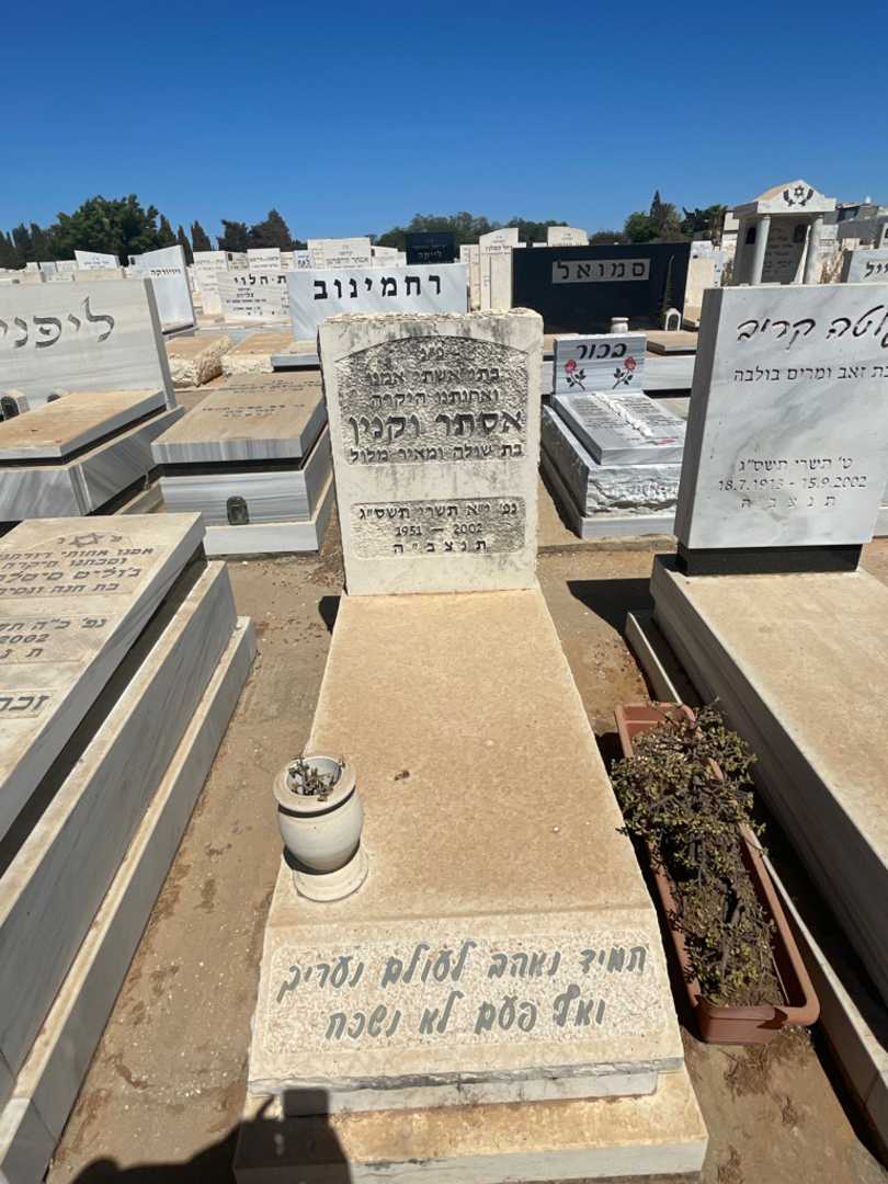 קברו של אסתר וקנין