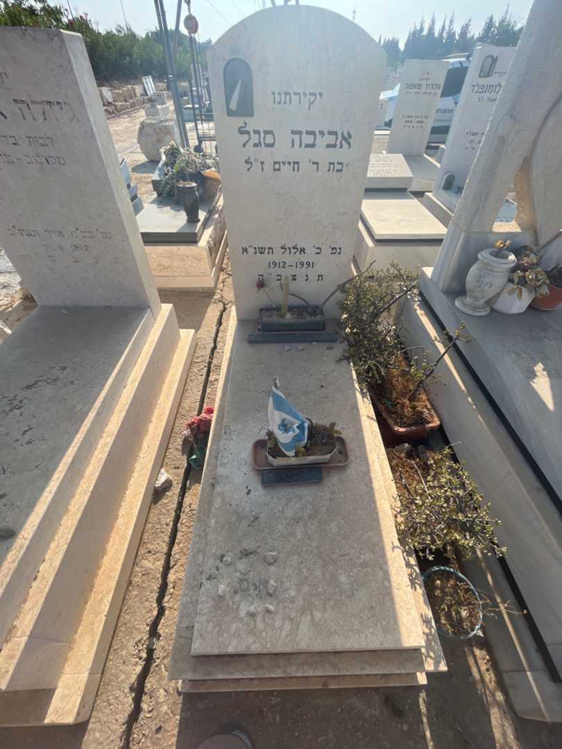 קברו של אביבה סגל