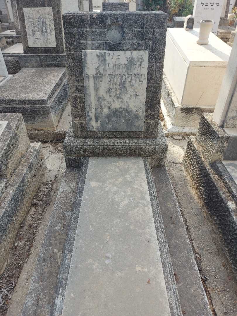 קברו של שולמית לוין