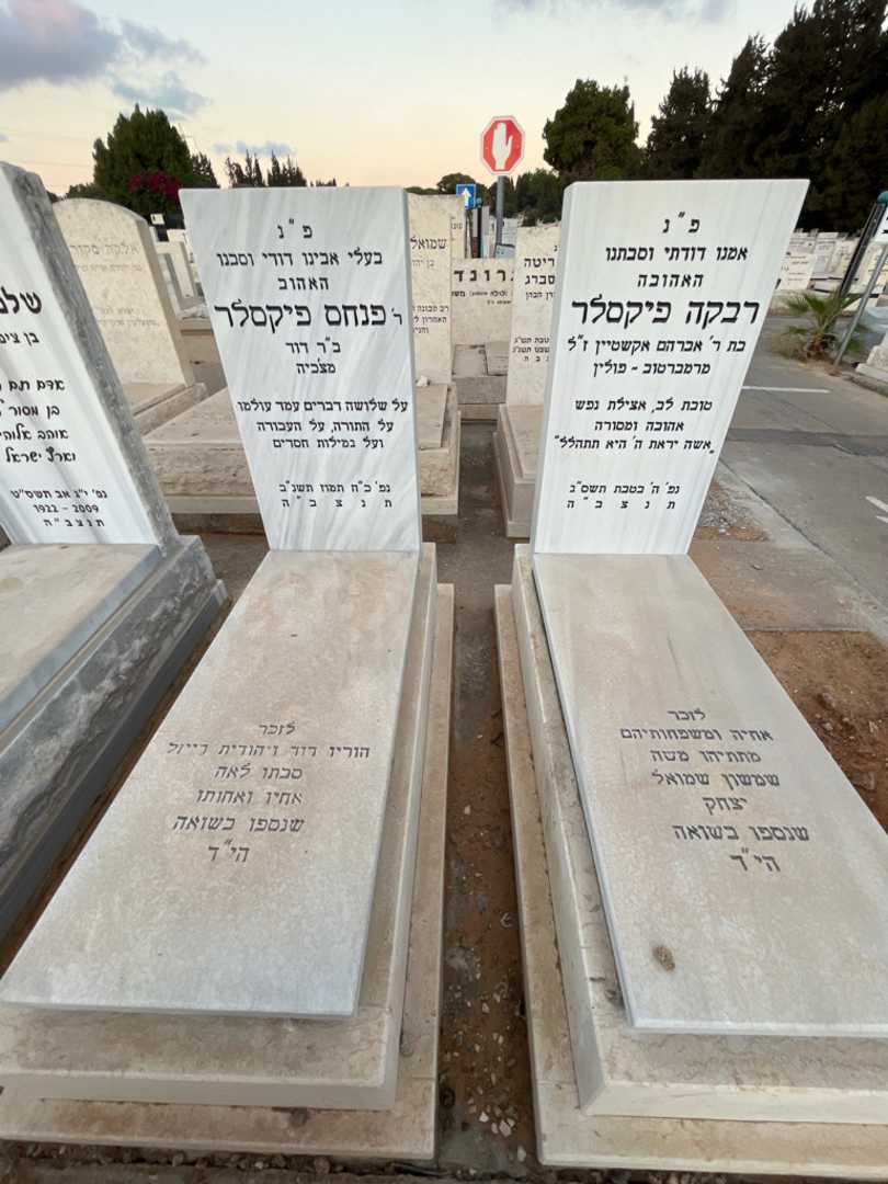 קברו של פנחס פיקסלר. תמונה 1