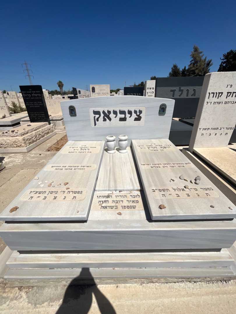 קברו של רחל ציביאק. תמונה 2