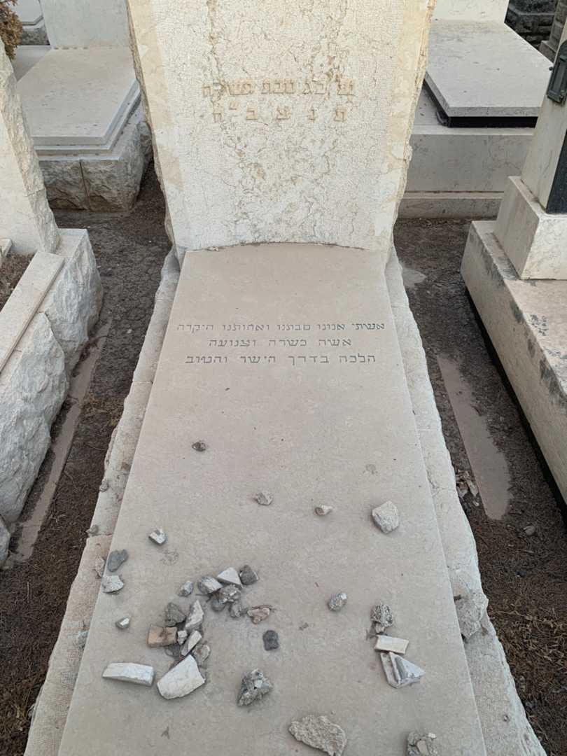 קברו של אלזה זלטה גולדמן. תמונה 2