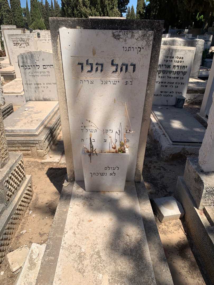 קברו של רחל הלר. תמונה 1