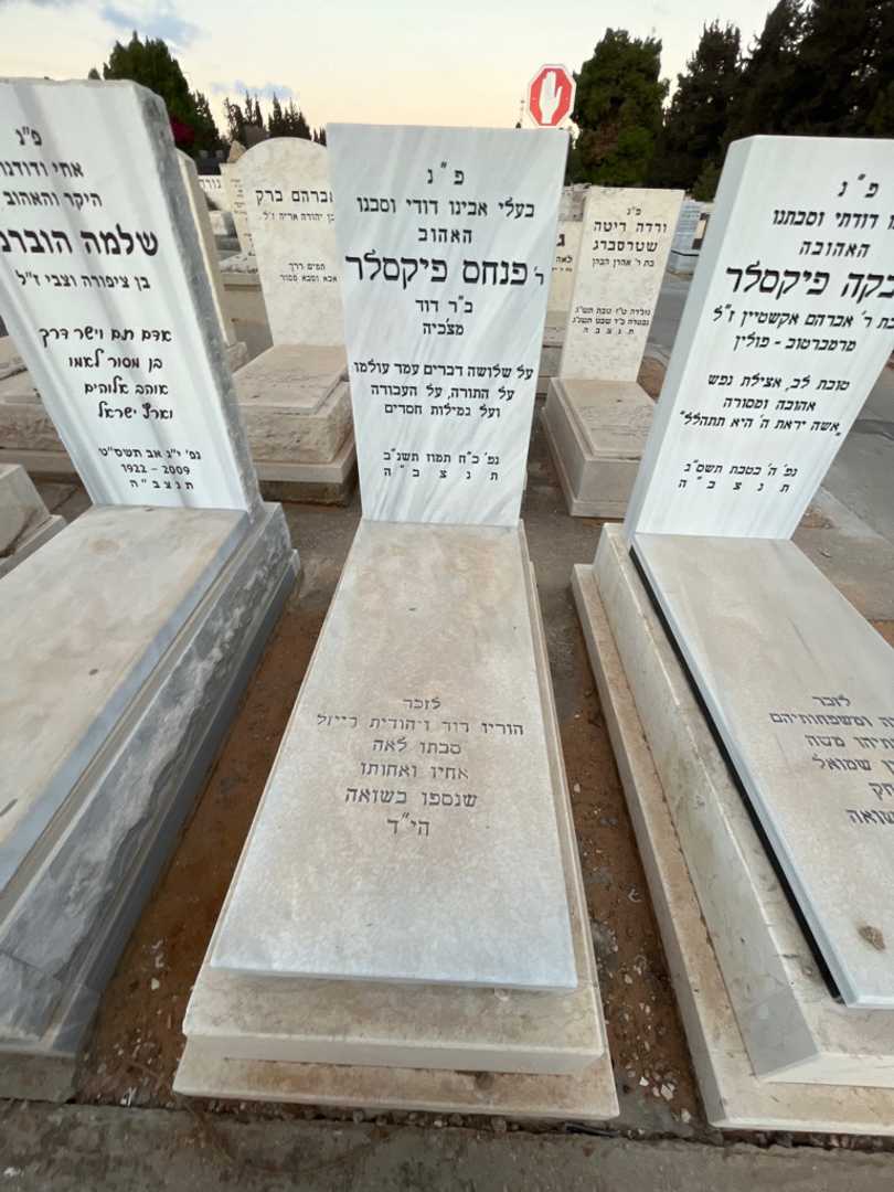 קברו של פנחס פיקסלר. תמונה 2