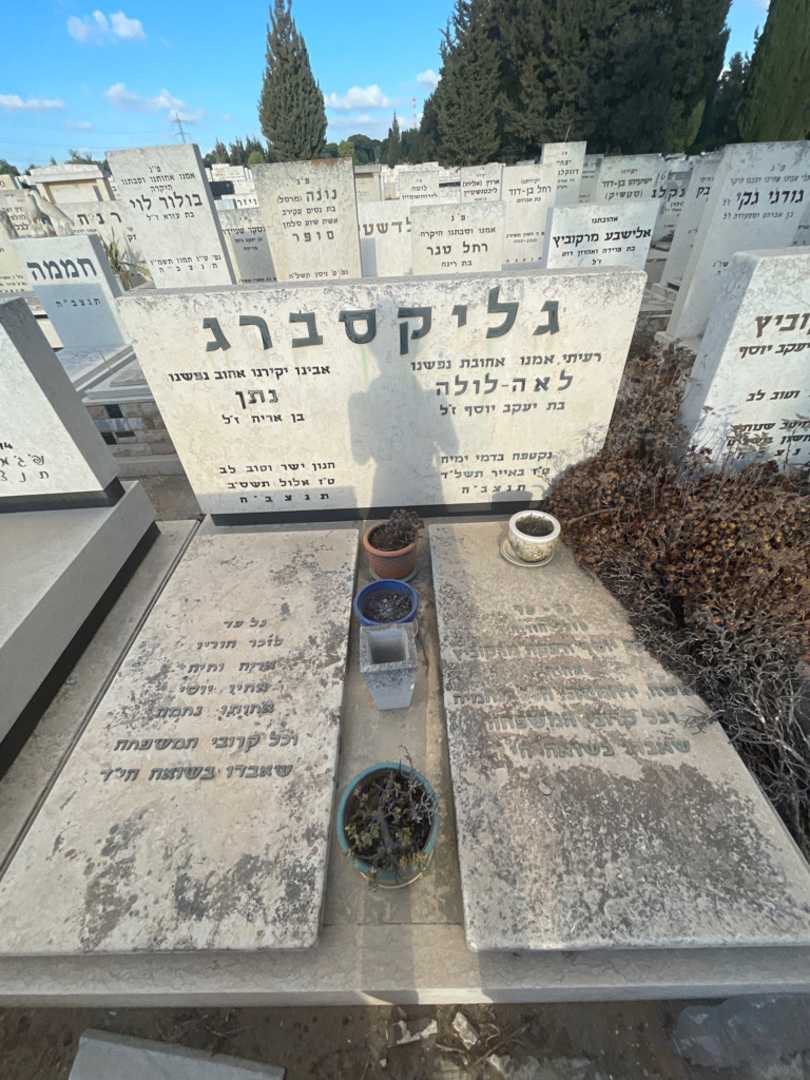 קברו של רבקה מרקוביץ. תמונה 1