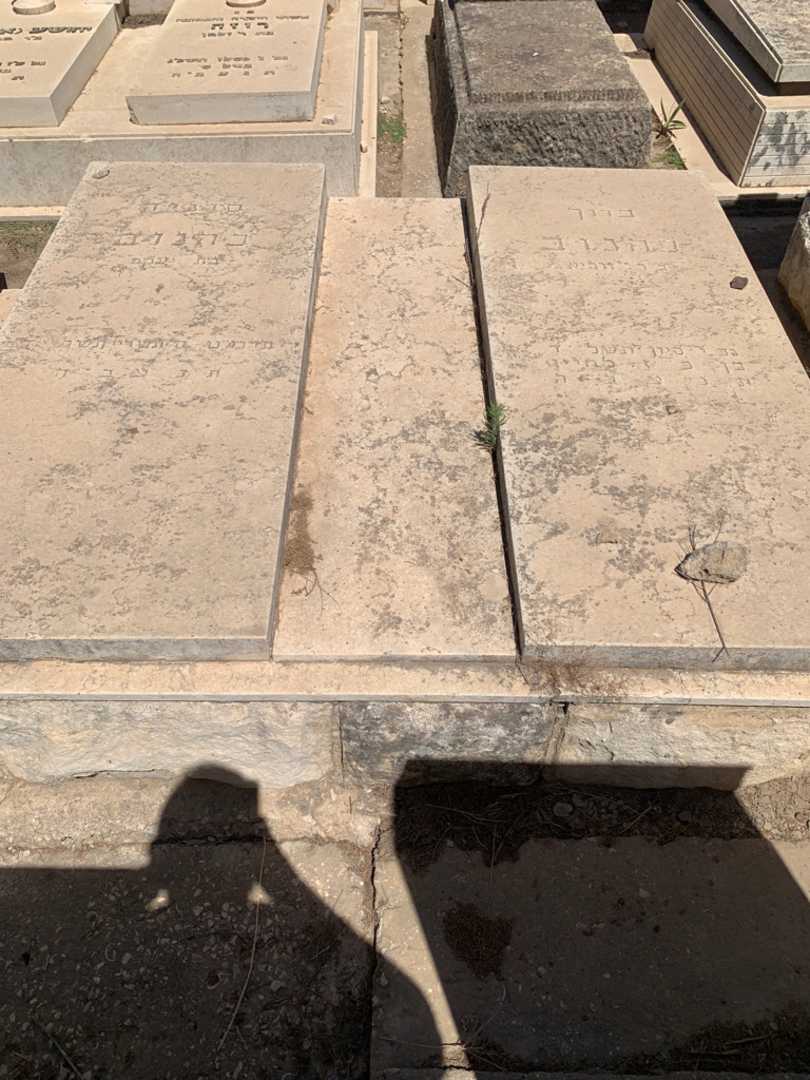 קברו של ברוך כהנוב. תמונה 1