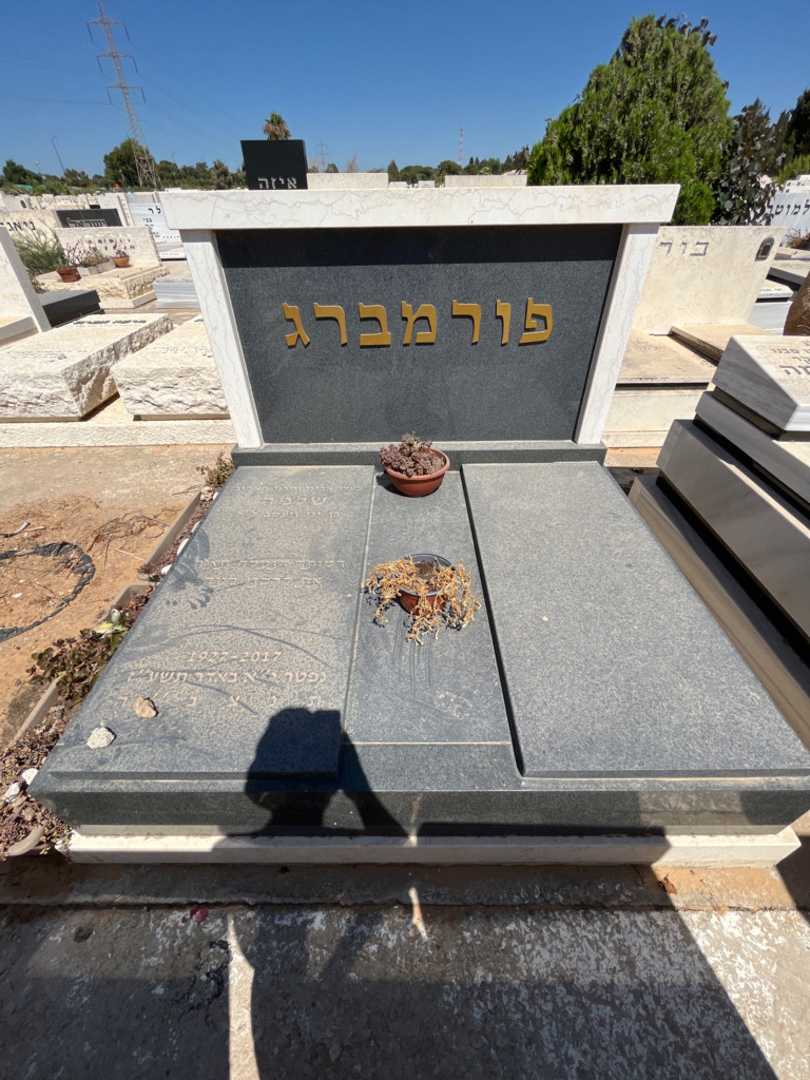 קברו של שלמה פורמברג. תמונה 2