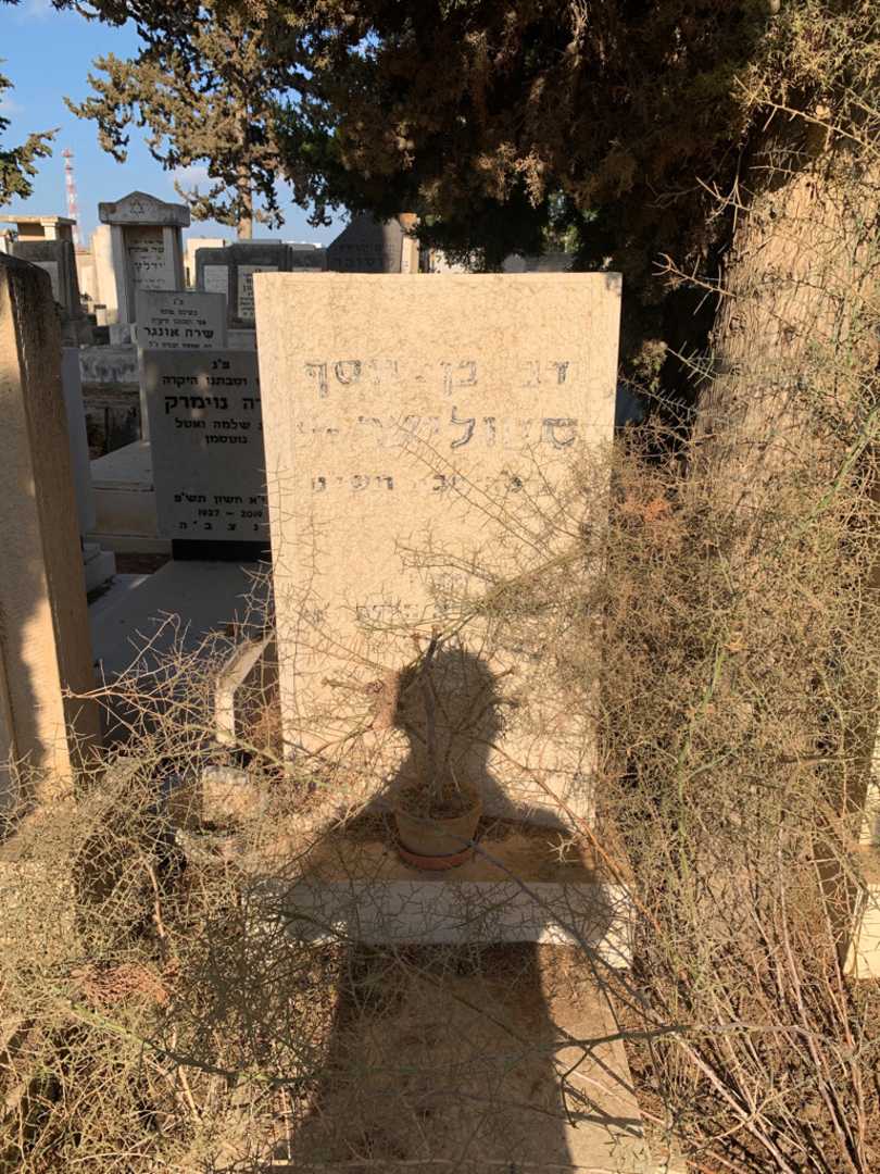 קברו של דב סטולי