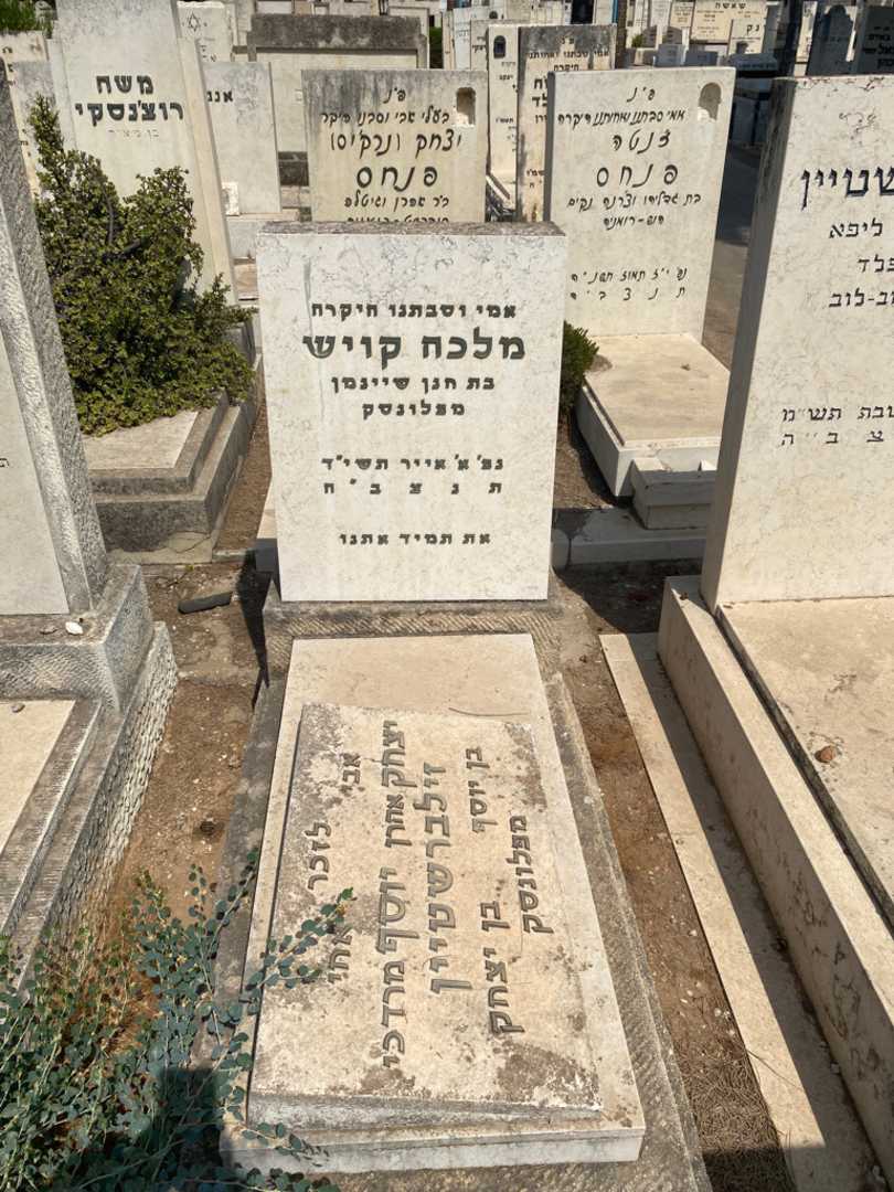 קברו של מלכה קויש שיינמן