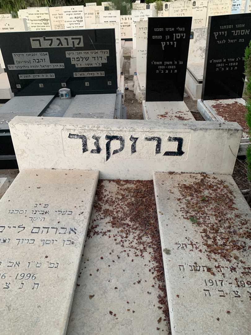 קברו של אברהם לייבל ברוקנר. תמונה 1