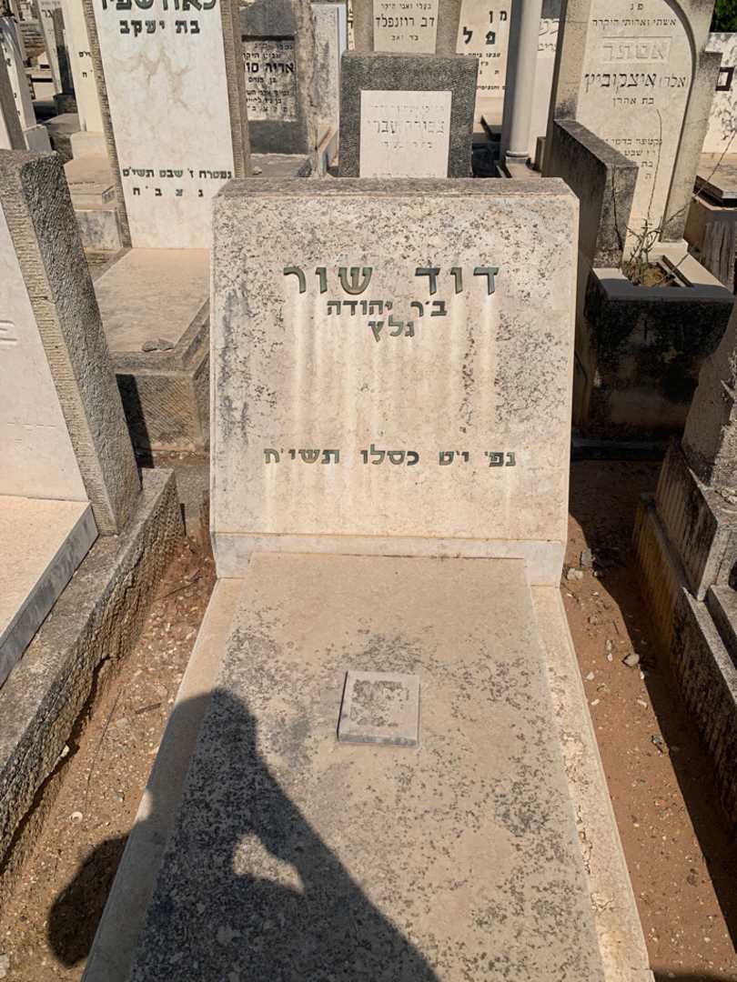 קברו של דוד שור