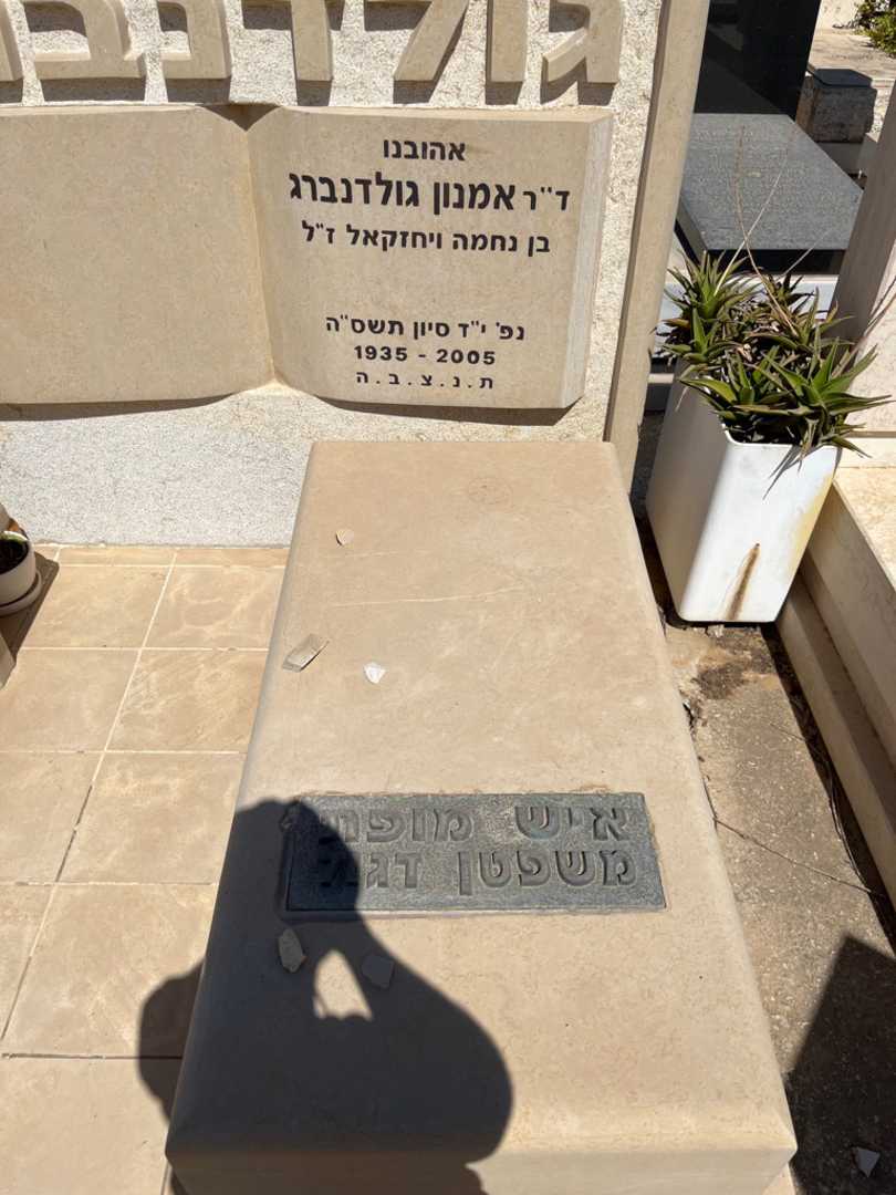 קברו של אמנון גולדנברג. תמונה 1