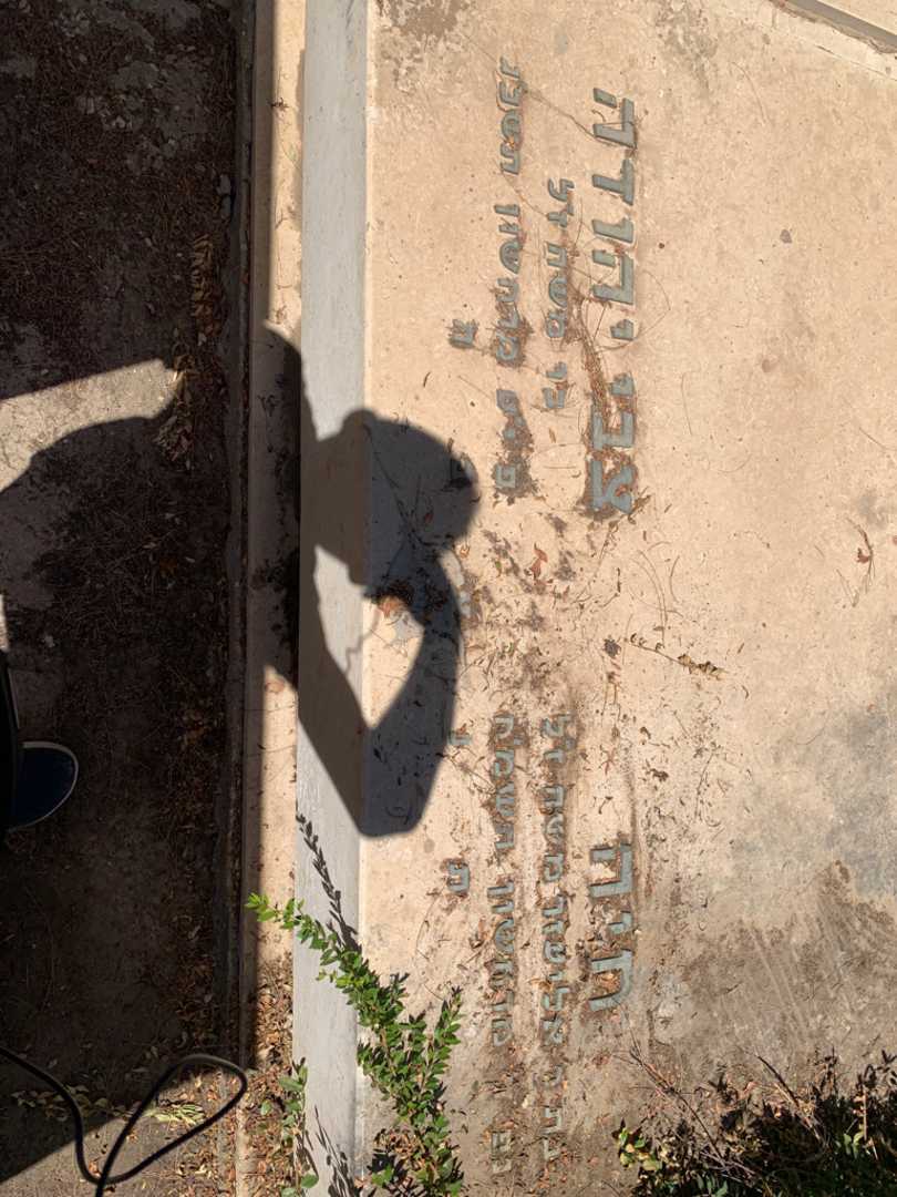 קברו של חיה גבירצמן. תמונה 3