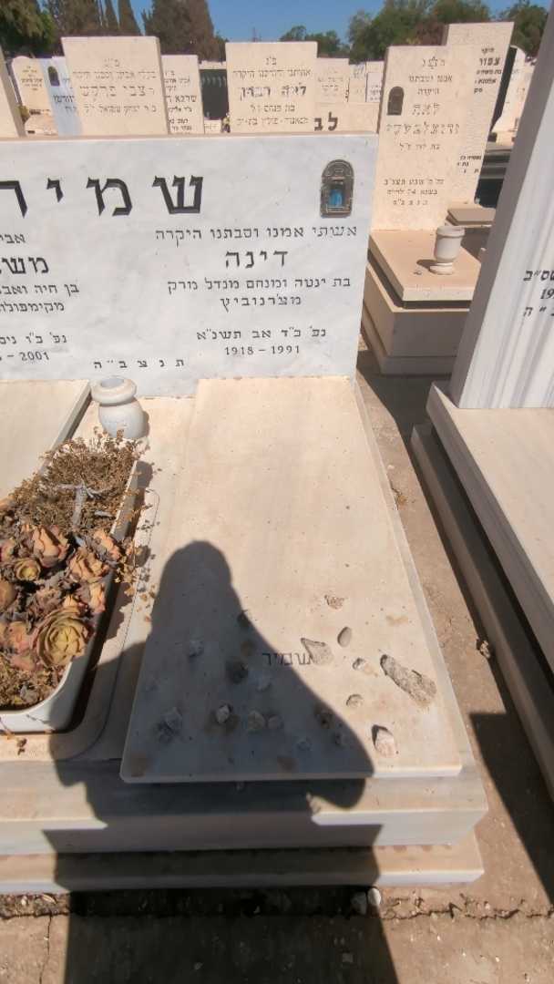 קברו של דינה שמיר. תמונה 1