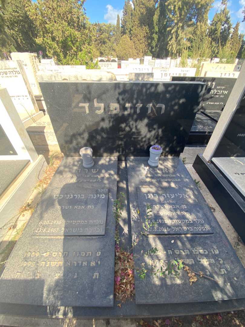 קברו של אליעזר רונן. תמונה 1