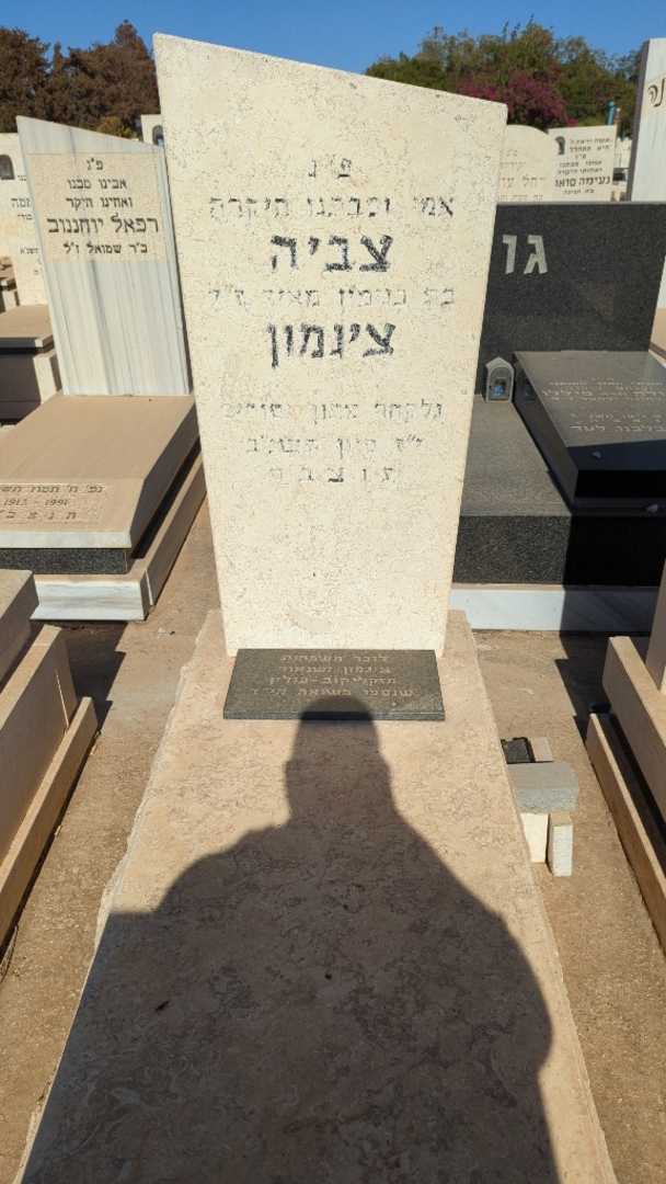קברו של צביה ציגמון