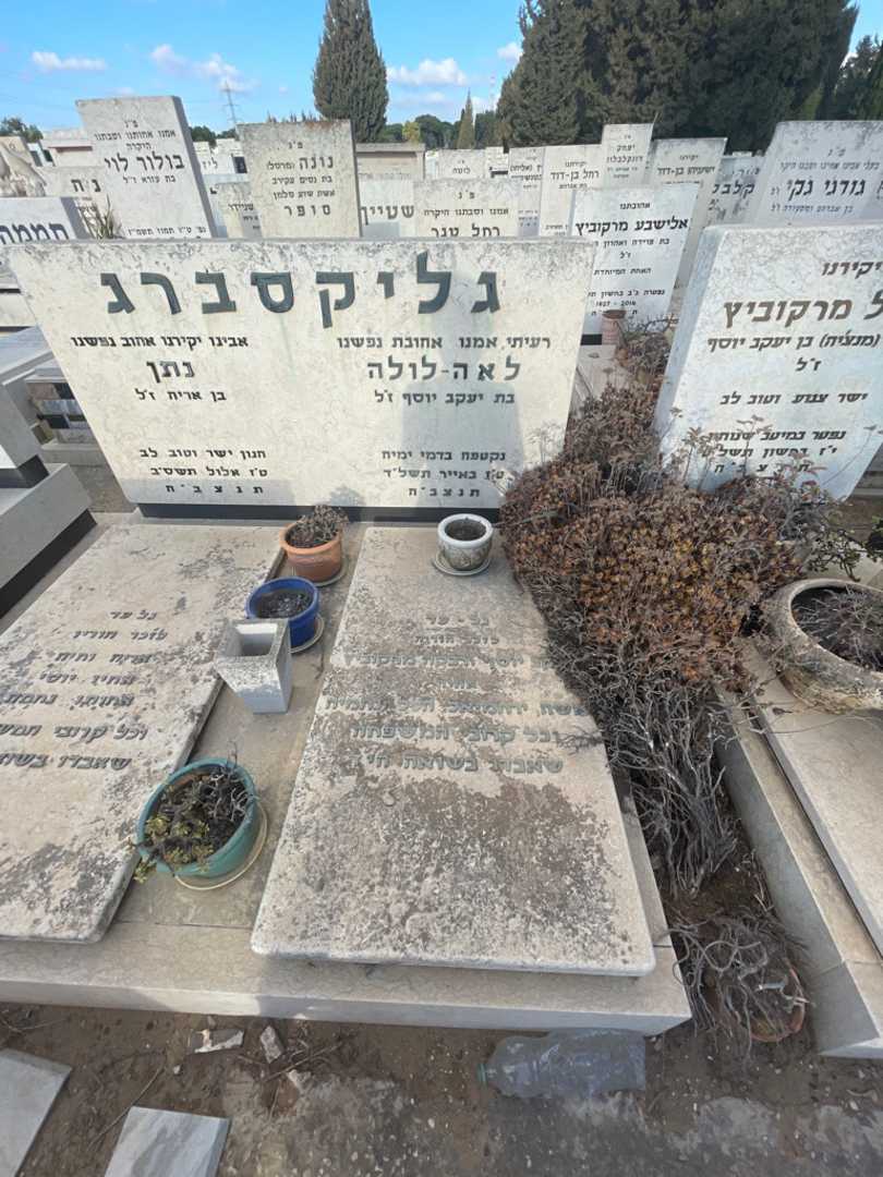 קברו של רבקה מרקוביץ. תמונה 2