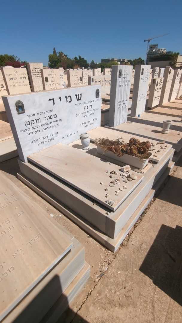 קברו של דינה שמיר. תמונה 2