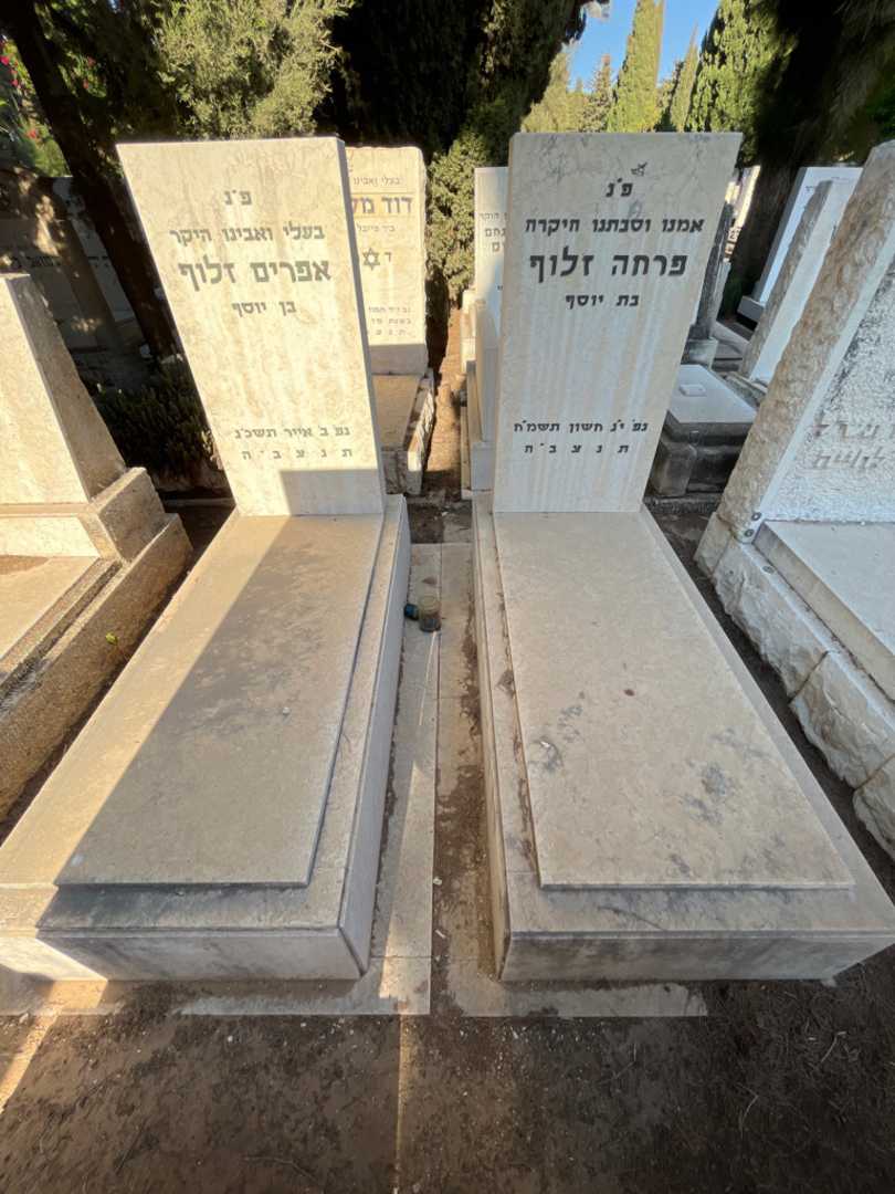 קברו של אפרים זלוף. תמונה 1