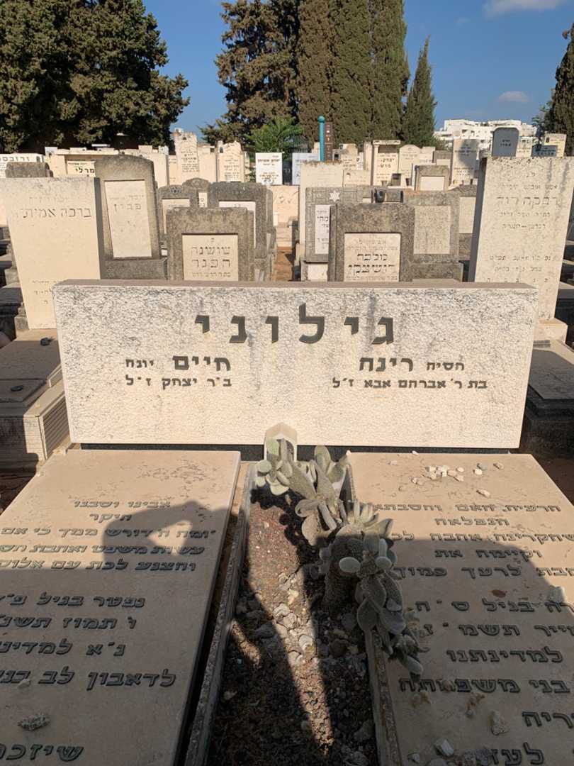 קברו של חיים גילוני. תמונה 1