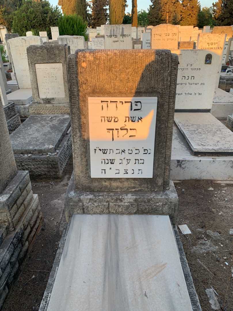 קברו של פרידה בלוך