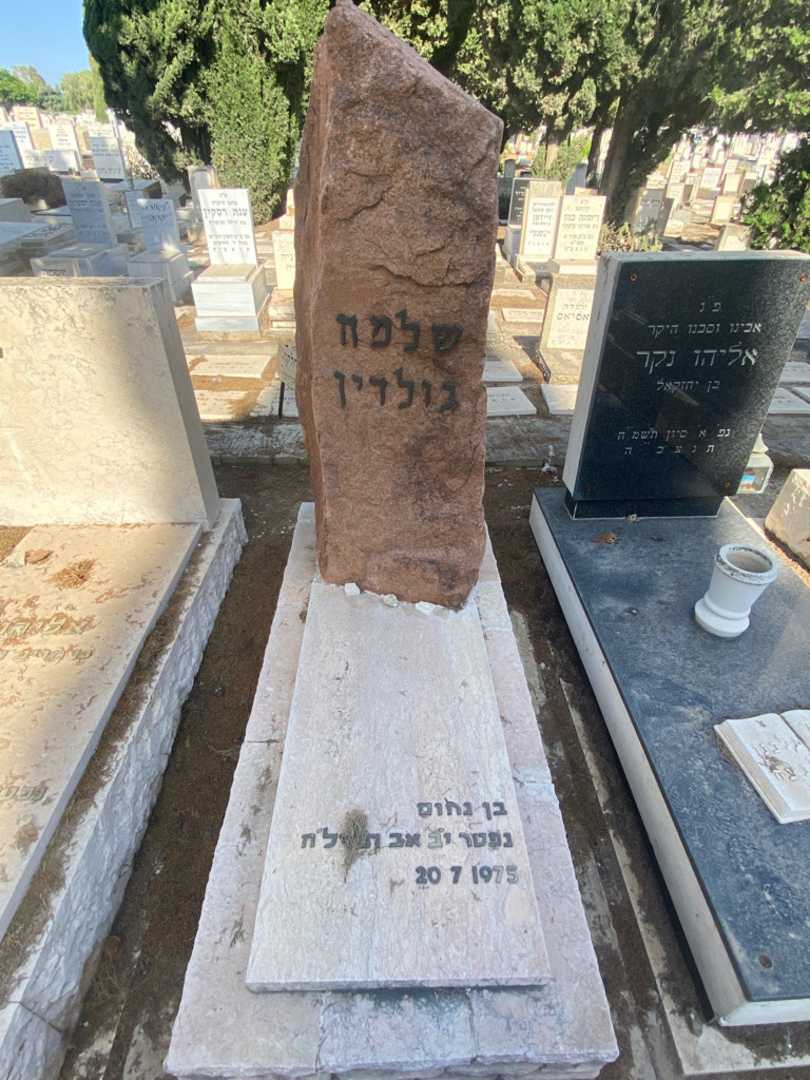 קברו של שלמה גולדין