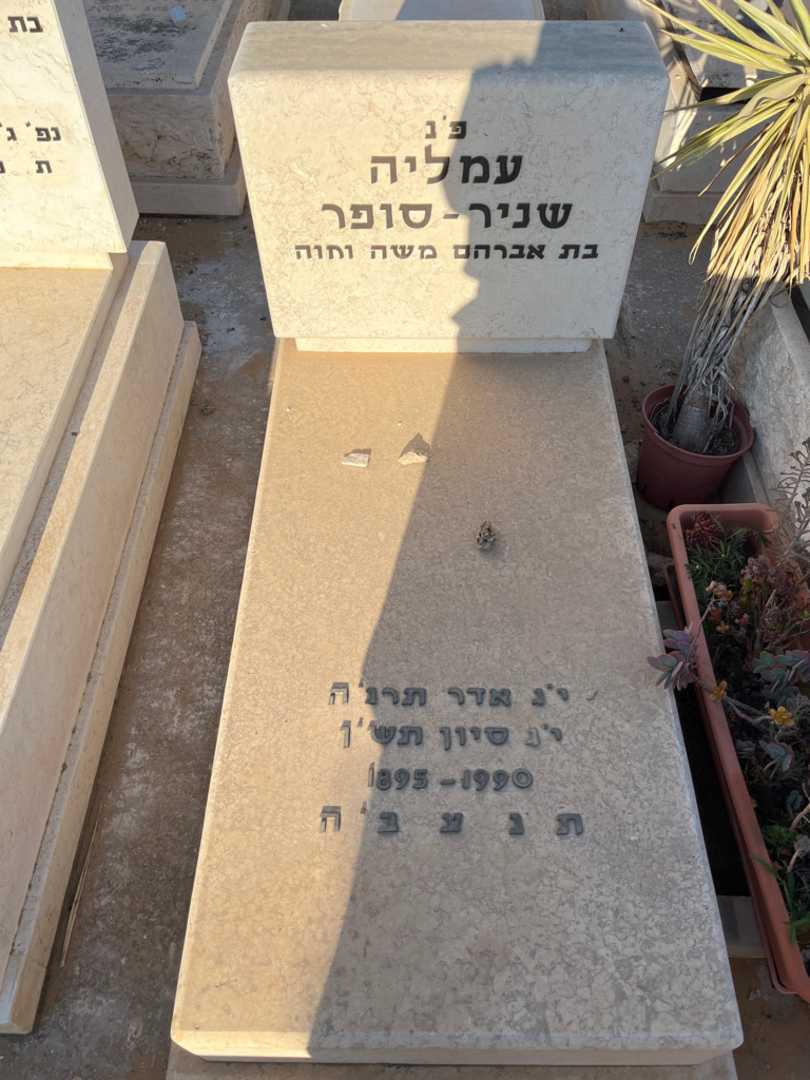 קברו של עמליה שניר-סופר