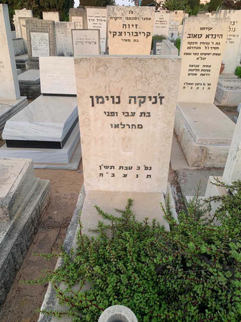 קברו של ז'ניקה נוימן