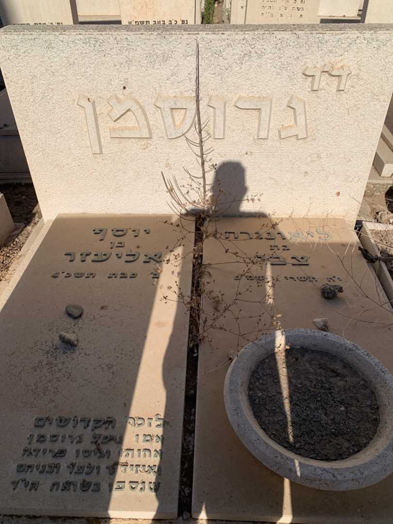 קברו של ליאונורה צבי גרוסמן. תמונה 1