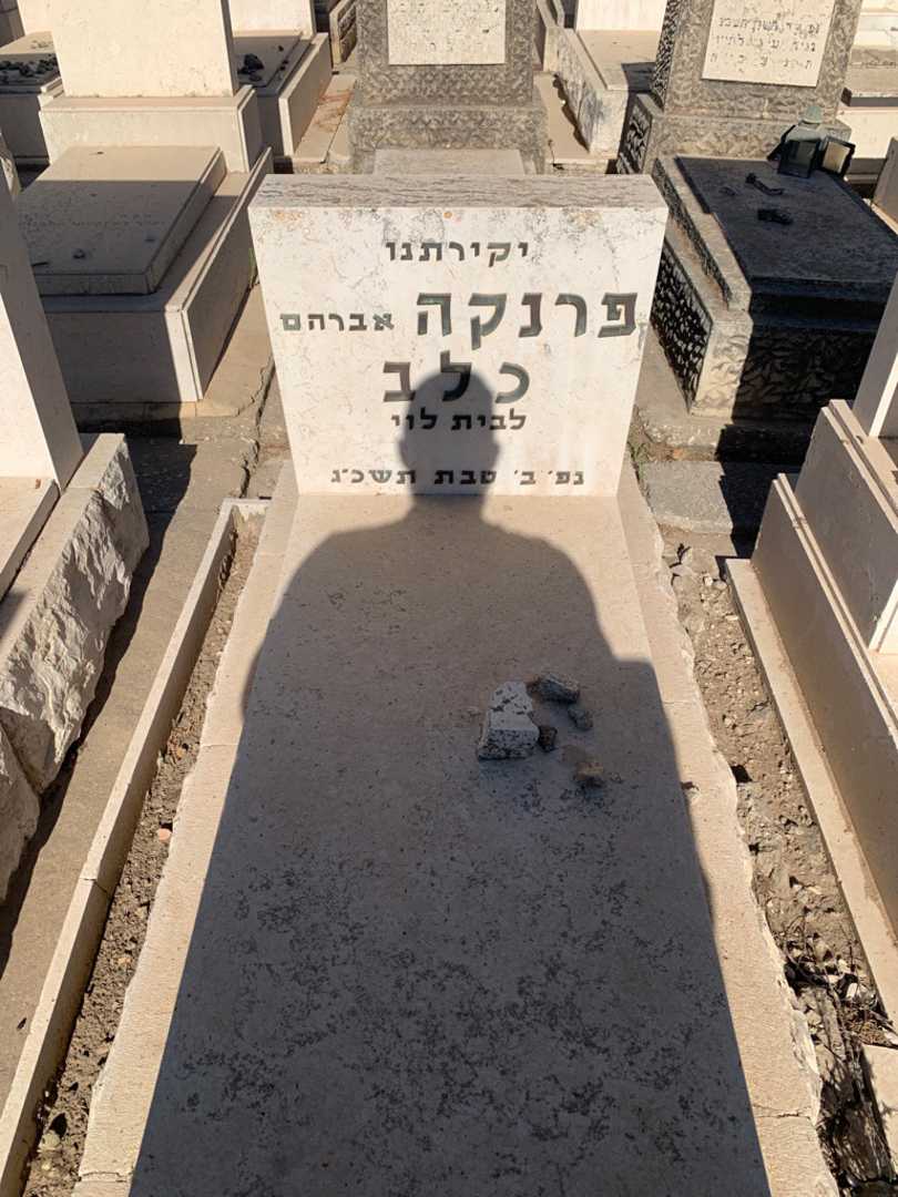 קברו של פרנקה "אברהם" כלב