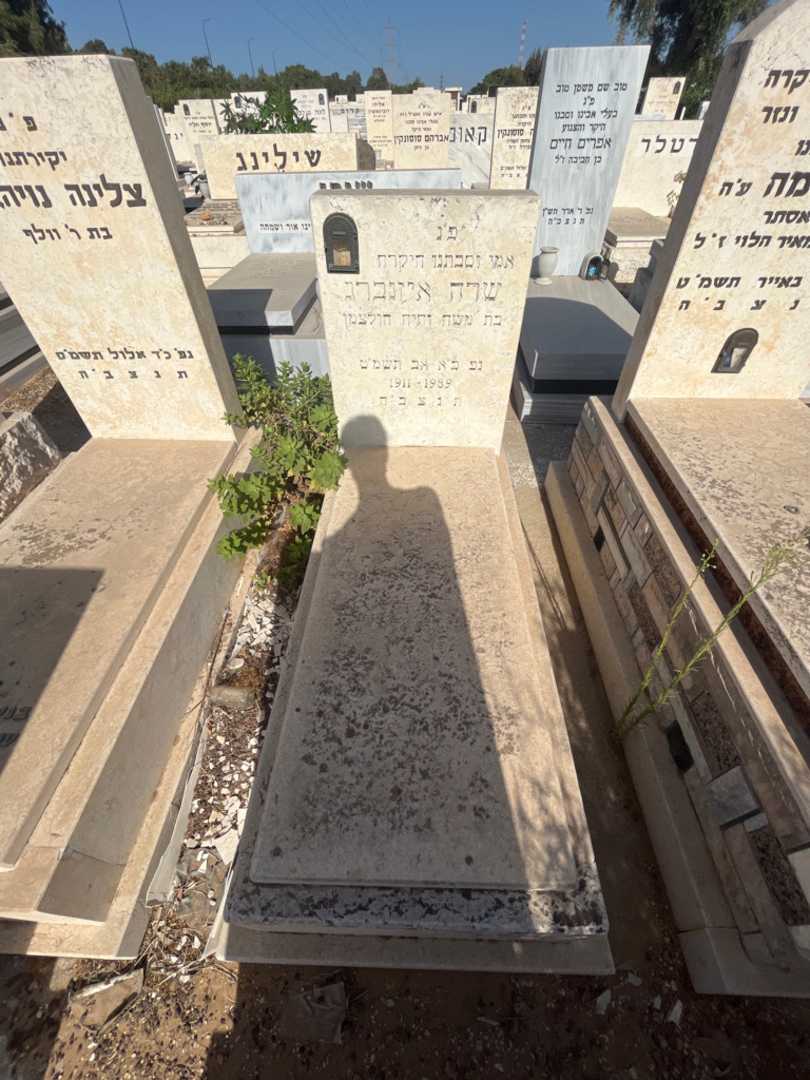 קברו של שרה איזנברג