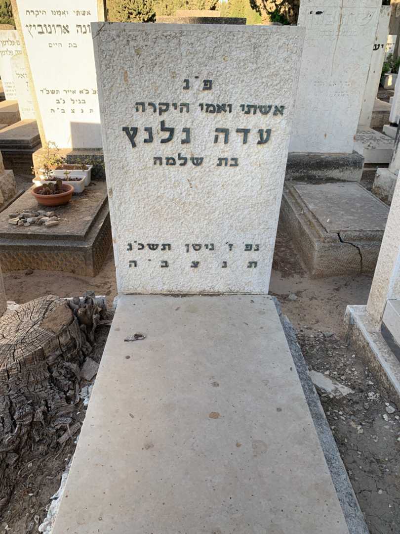 קברו של עדה גלנץ. תמונה 2