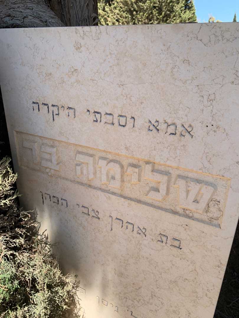 קברו של יוסף צבי בר. תמונה 3