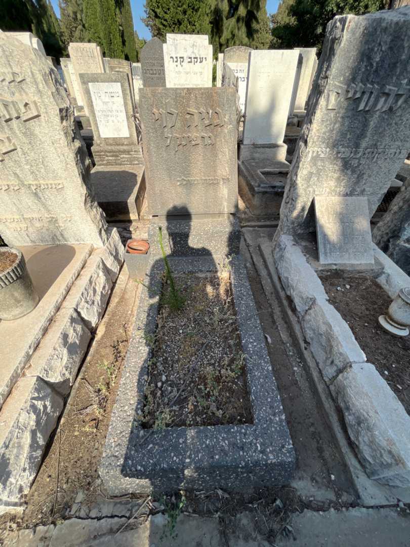 קברו של גניה "גרפינקל" לוי