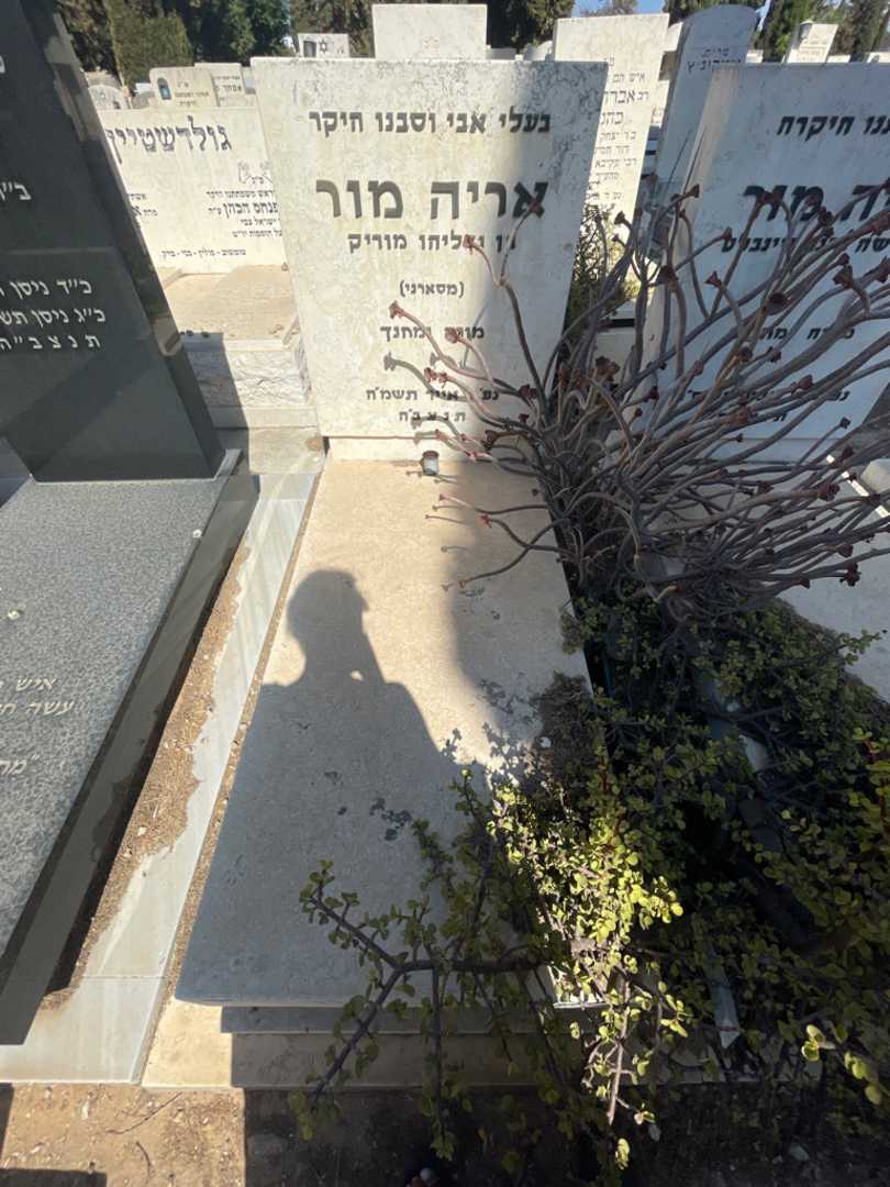קברו של אריה מור. תמונה 2