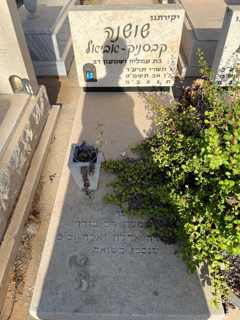 קברו של שושנה קבסניק - אביאל. תמונה 1