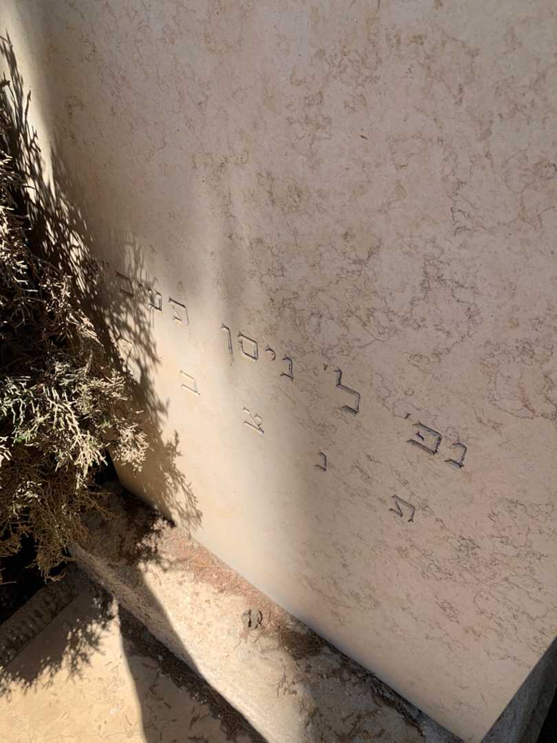 קברו של יוסף צבי בר. תמונה 4