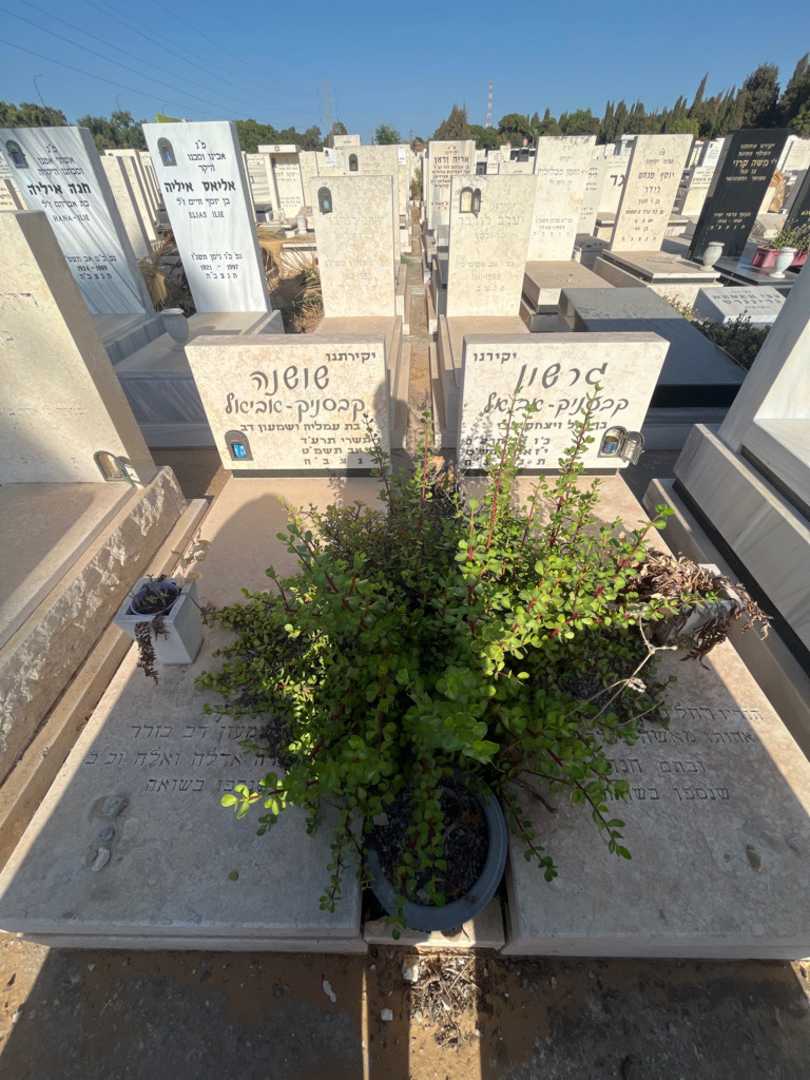 קברו של שושנה קבסניק - אביאל. תמונה 2