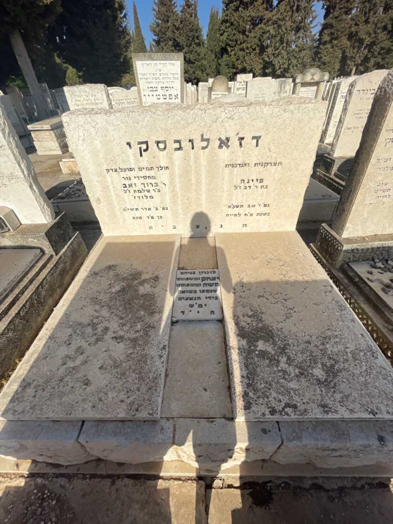 קברו של ברוך זאב דז'אלובסקי. תמונה 1