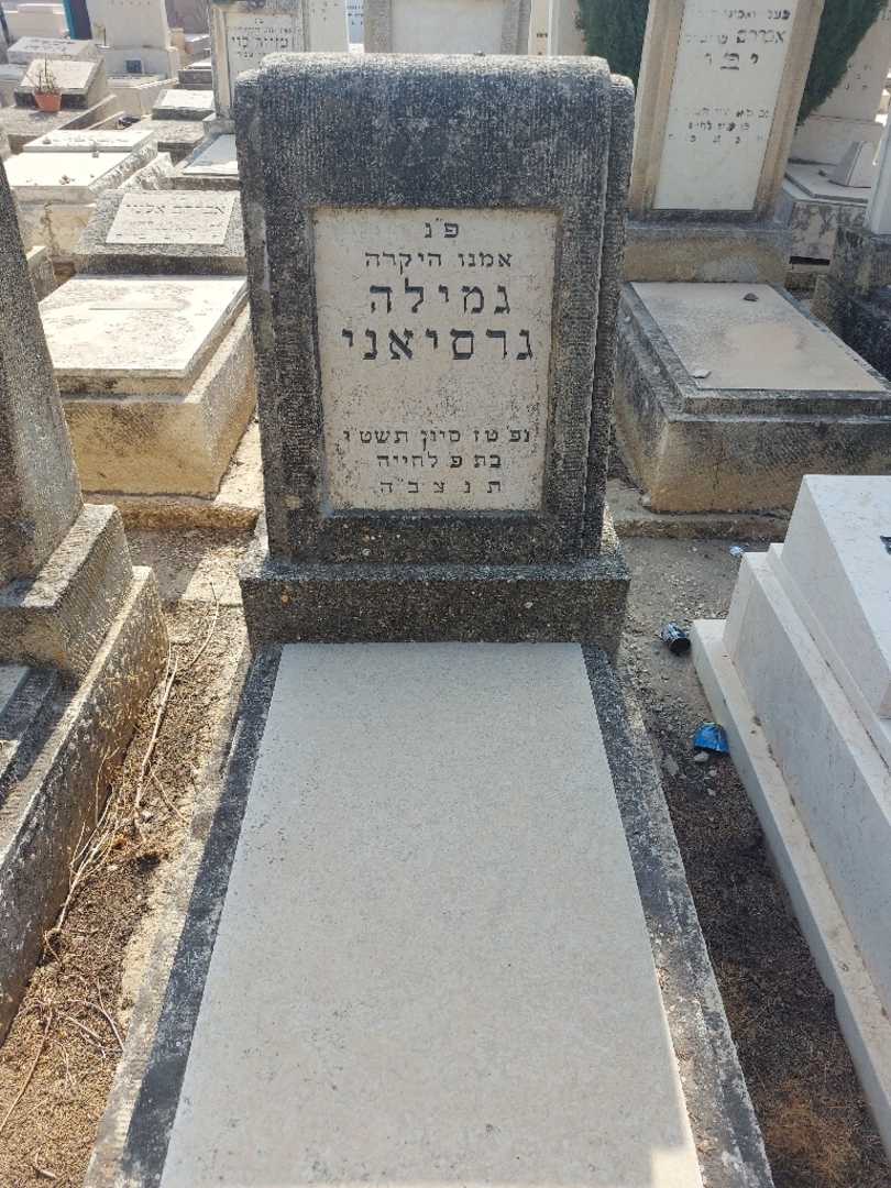קברו של גמילה גרסיאני