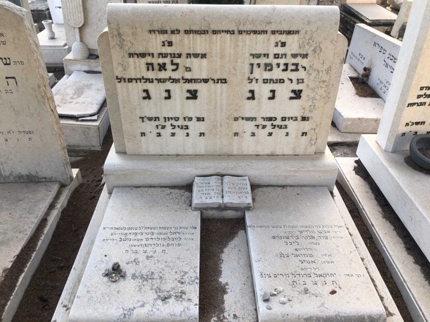 קברו של לייבל גולדרט. תמונה 2