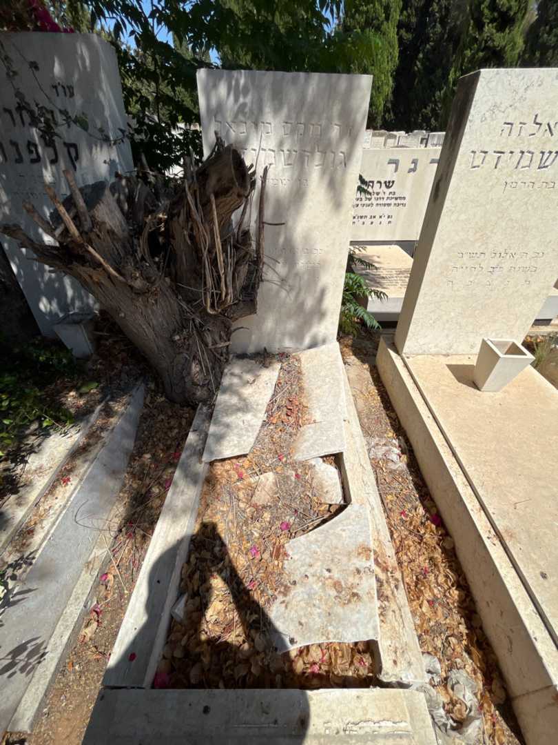 קברו של מקס מיכאל גולדשמידט. תמונה 1