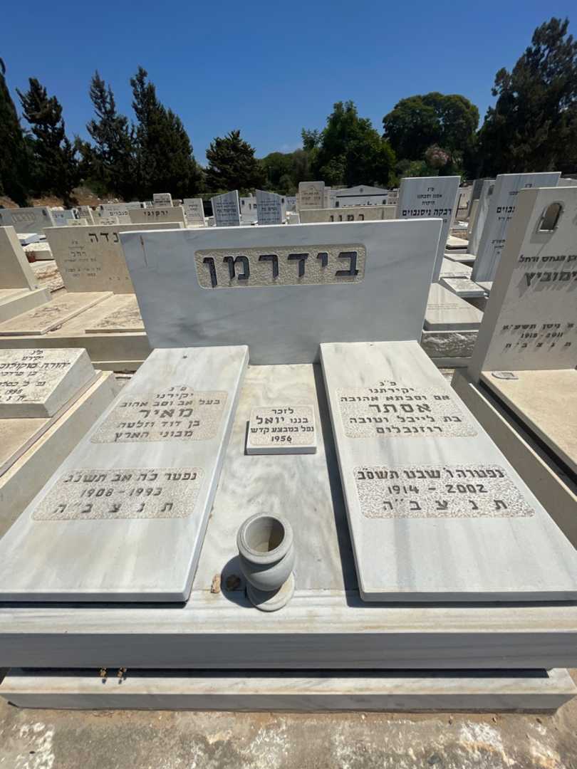 קברו של מאיר בידרמן. תמונה 1