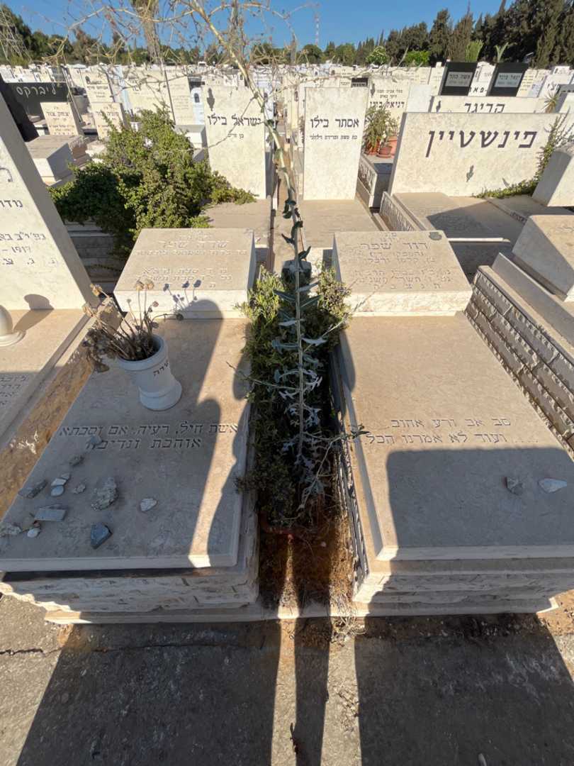 קברו של דוד "המפקד דן" שפר. תמונה 1