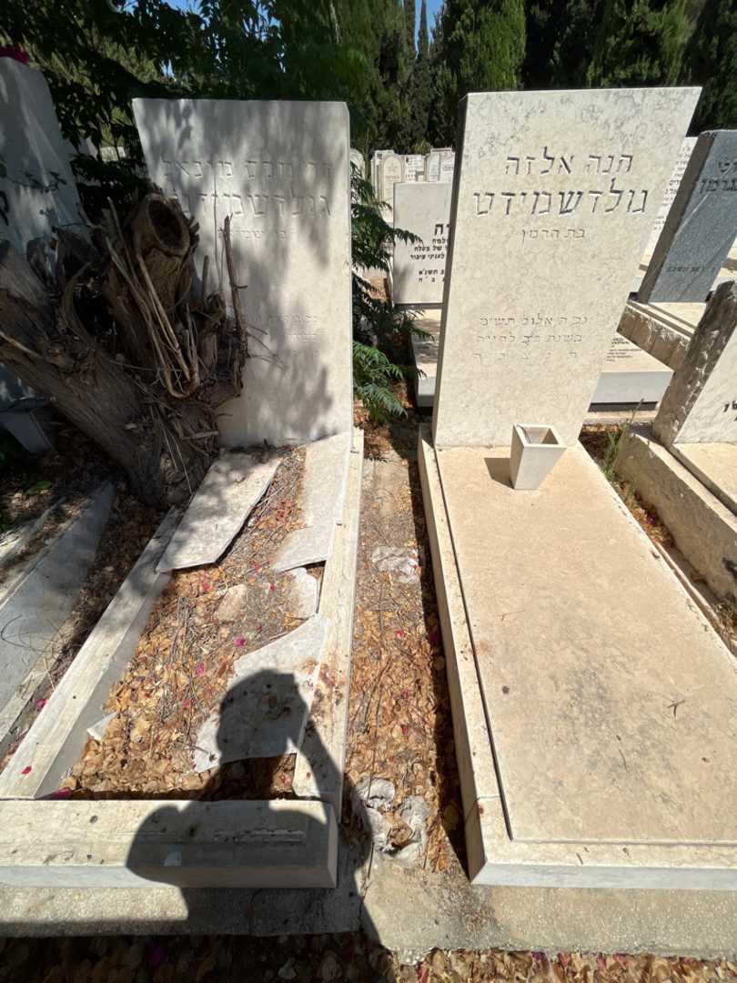 קברו של מקס מיכאל גולדשמידט. תמונה 2
