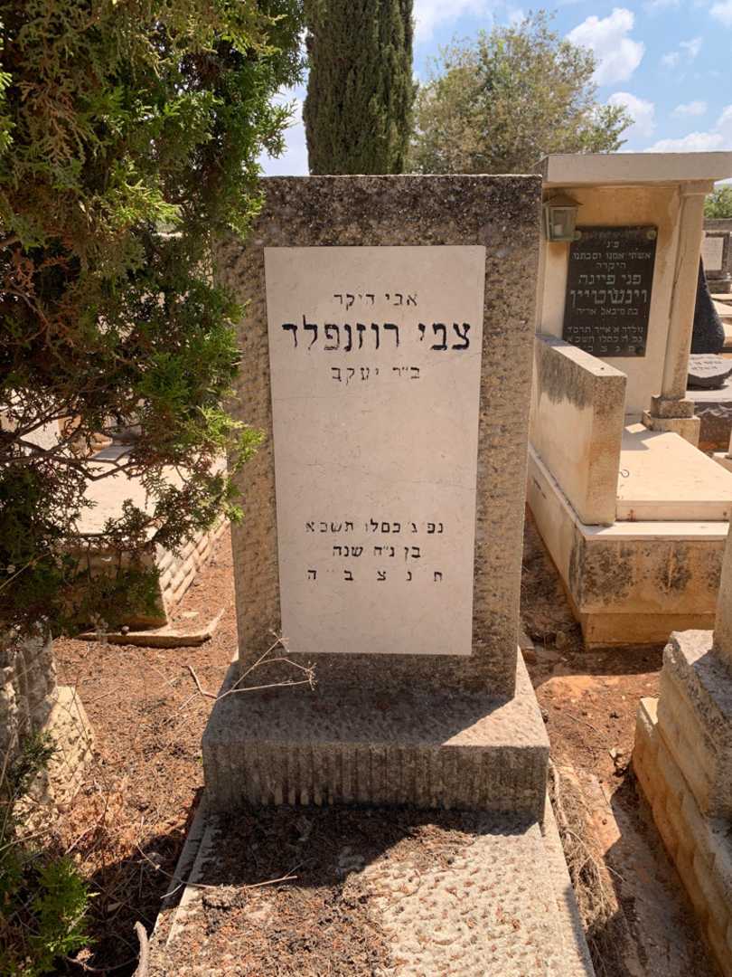 קברו של צבי רוזנפלד